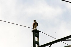 Killikus&reg; Fotographie